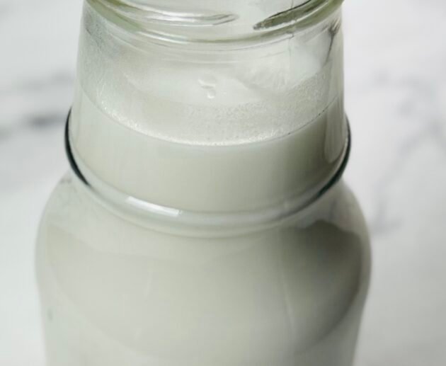 Homemade coconut milk