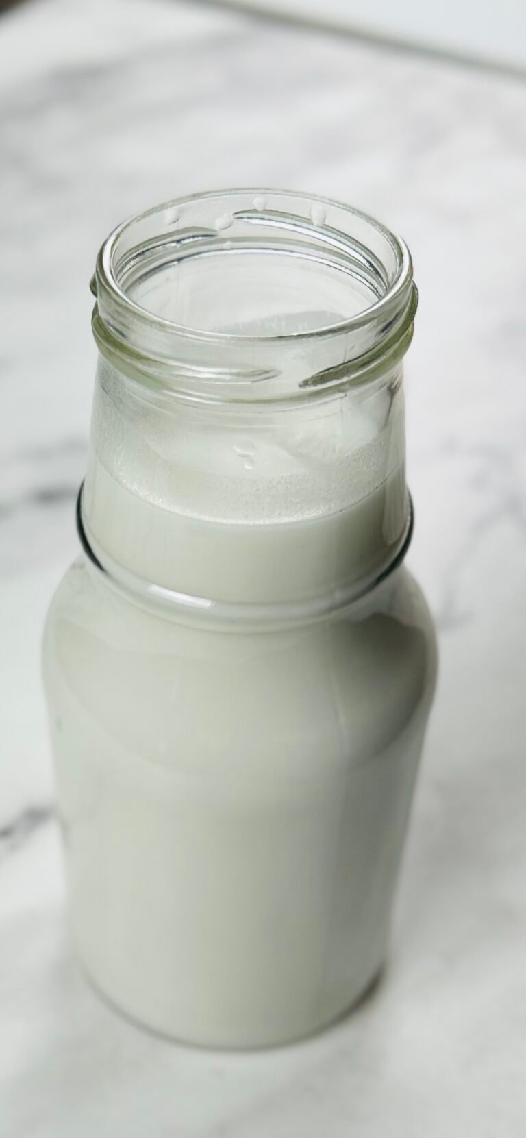 Homemade coconut milk