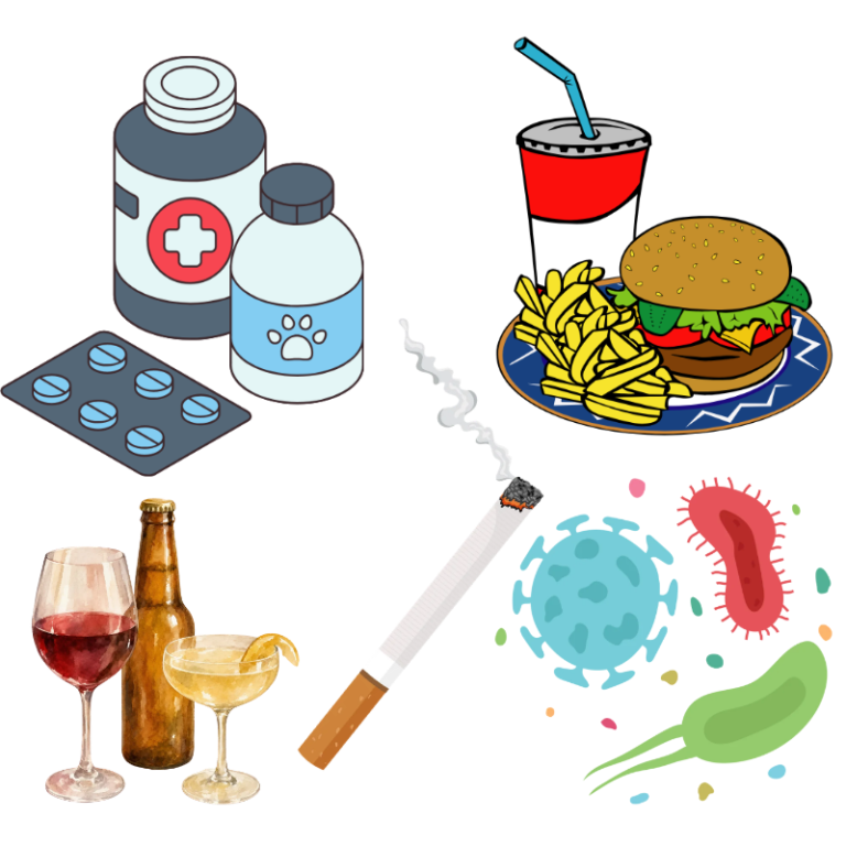 Common autoimmune triggers